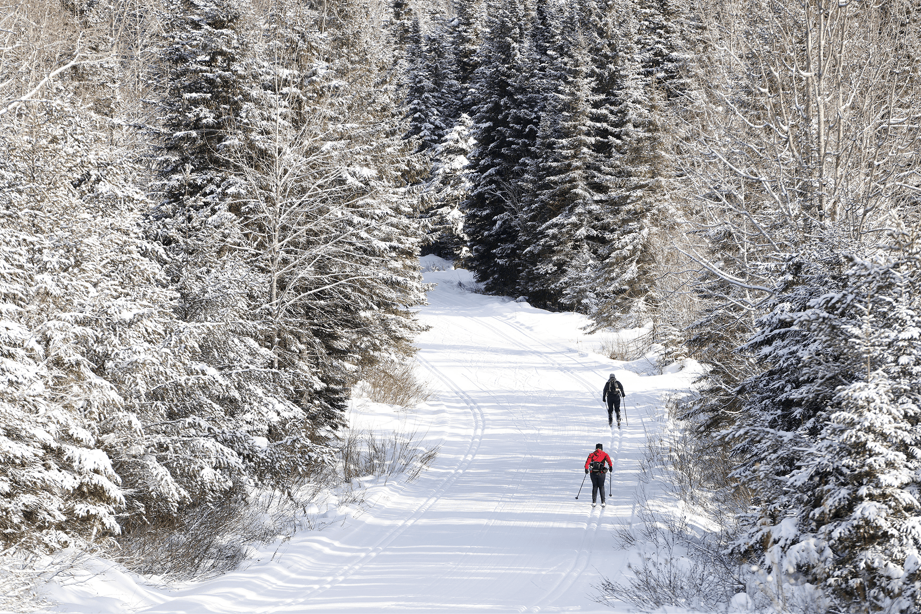 Réseau des pistes
