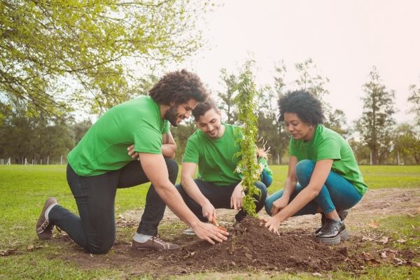 trois personnes qui plantent un arbre