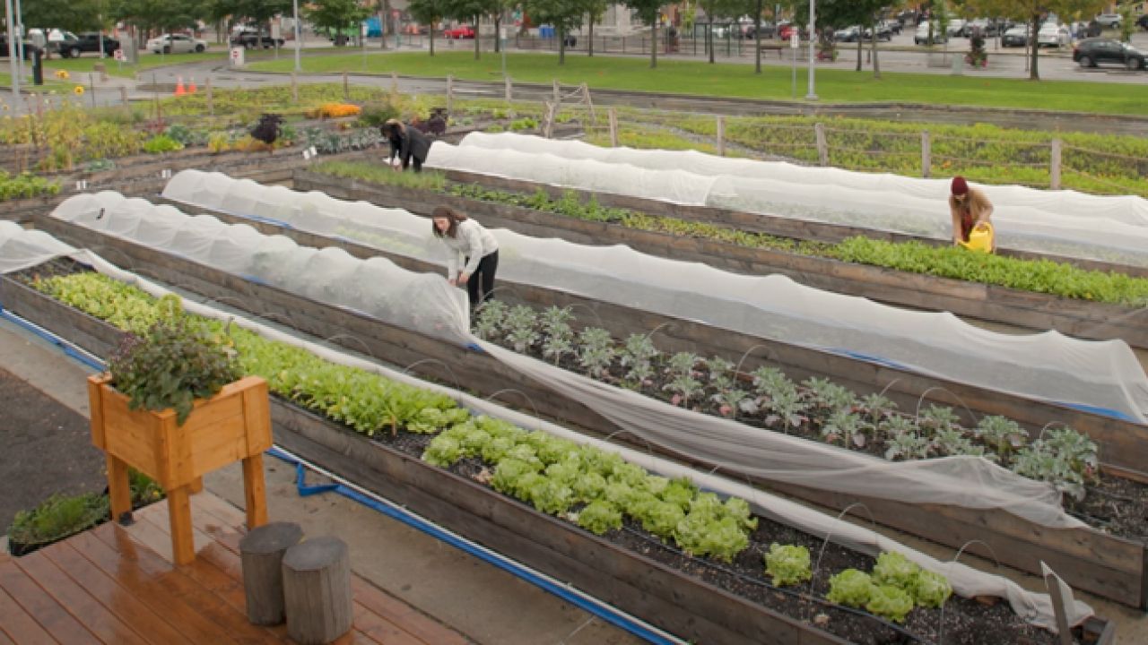 Chantier d'avenir en sécurité alimentaire